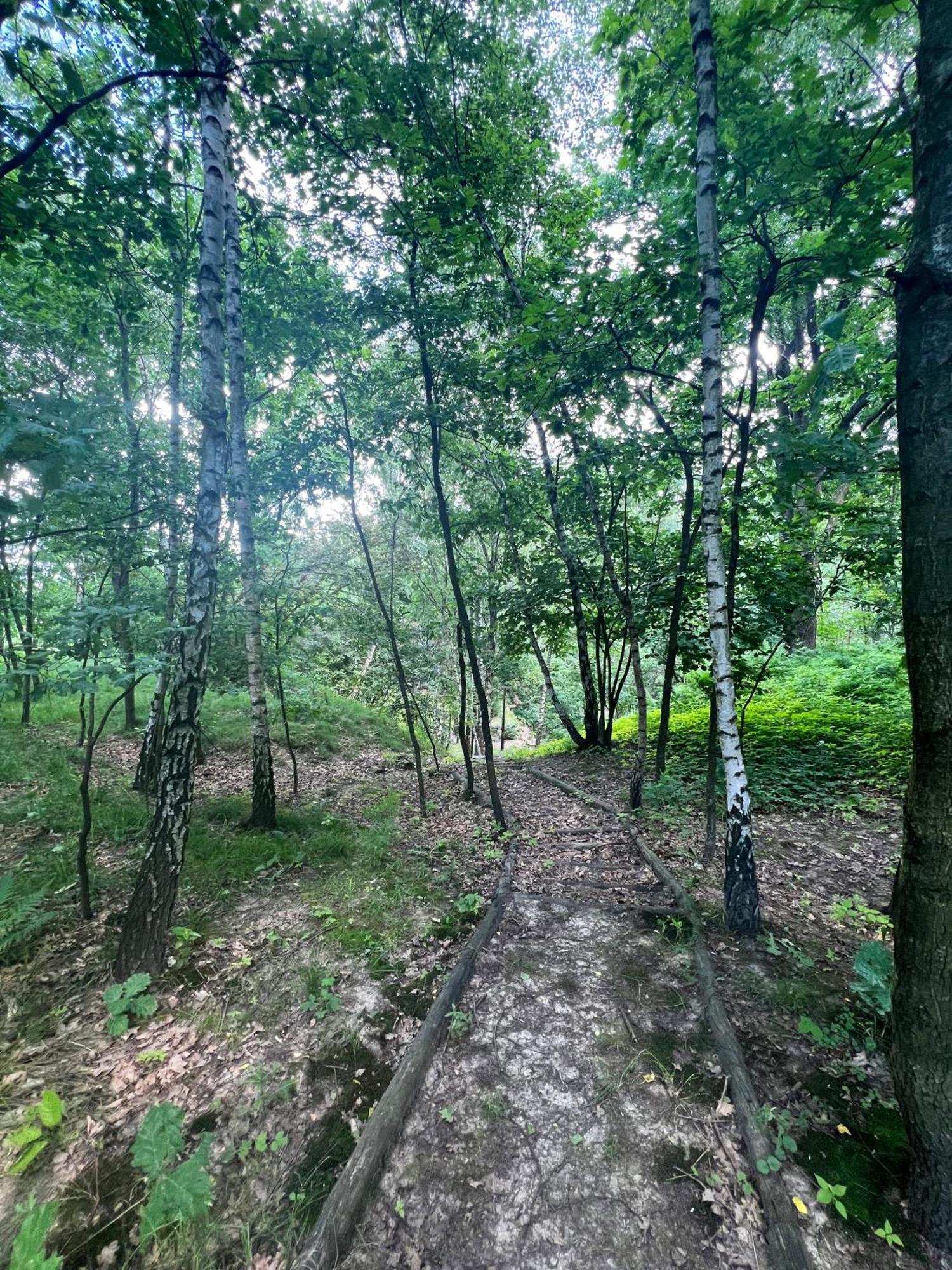 Apartament Podedworze Bochnia Bagian luar foto